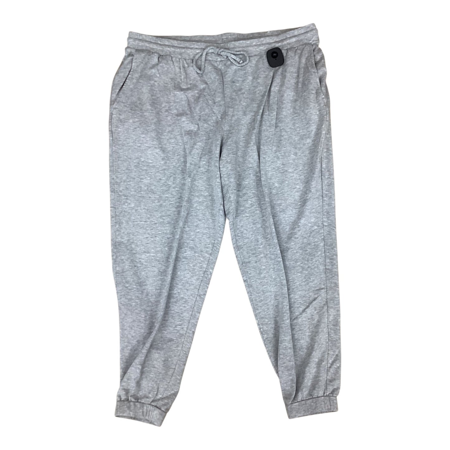 Athletic Pants By Eileen Fisher In Grey, Size:1X