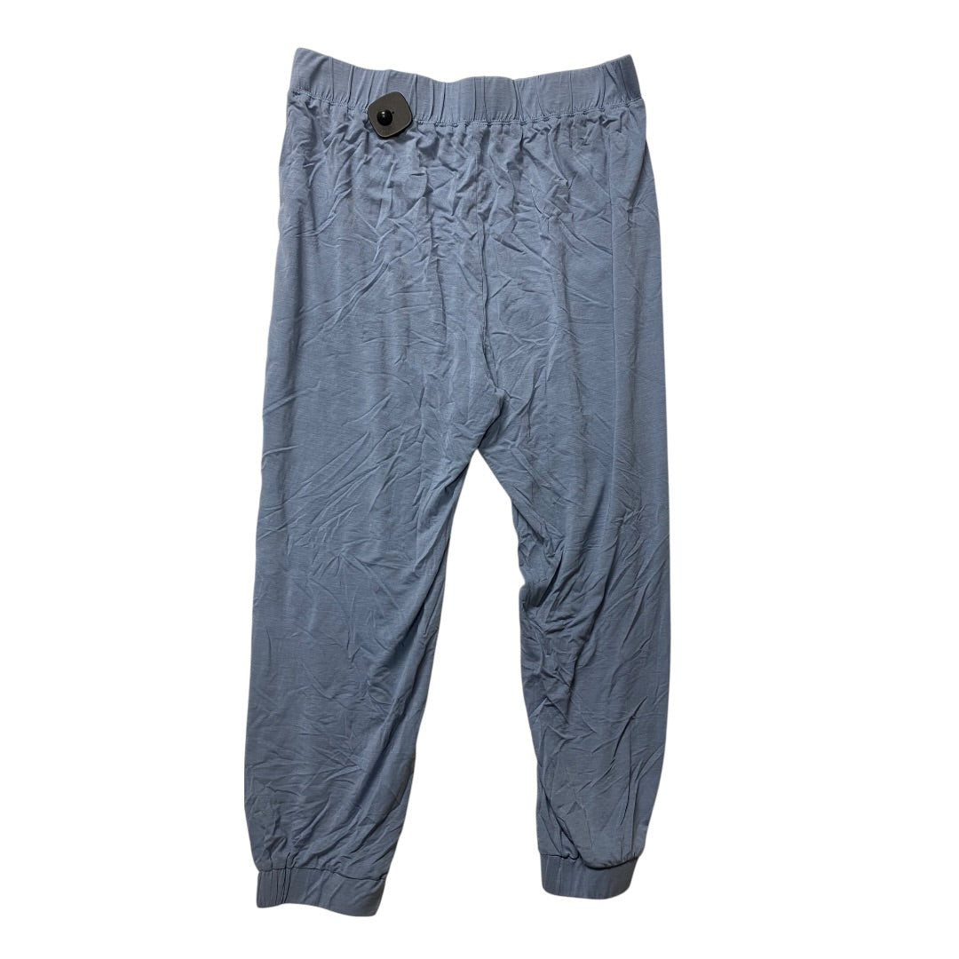 Athletic Pants By Fabletics In Blue, Size:Xl