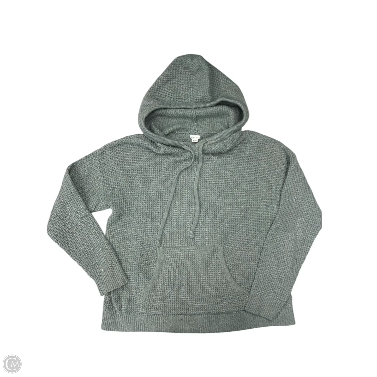 Sweatshirt Hoodie By Aerie In Green, Size: Xs