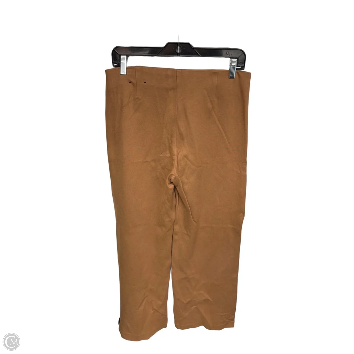 Pants Wide Leg By Rachel Zoe In Brown, Size: 8