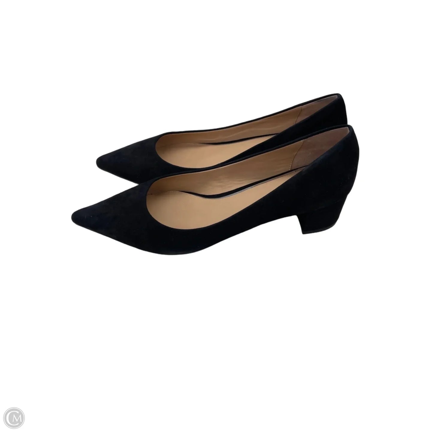 Shoes Heels Block By Linea Paolo In Black, Size: 11
