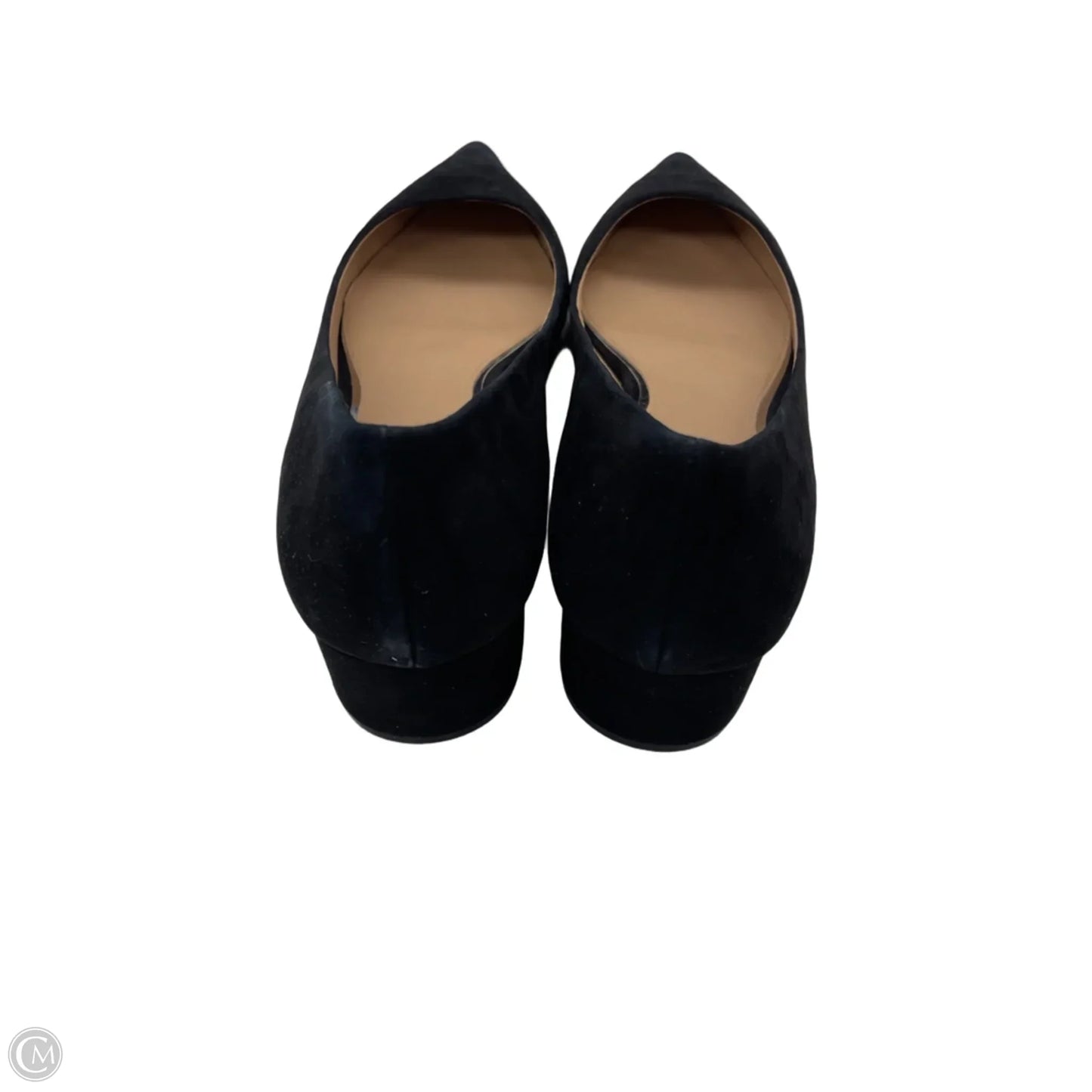 Shoes Heels Block By Linea Paolo In Black, Size: 11