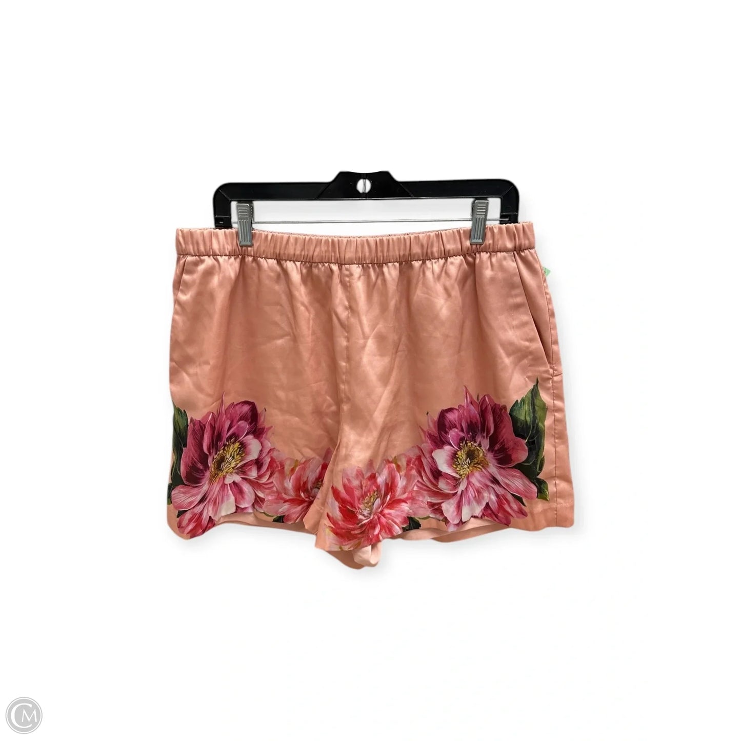 Shorts By Express In Peach, Size: L