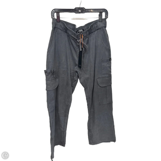 Pants Cargo & Utility By Clothes Mentor In Grey, Size: L