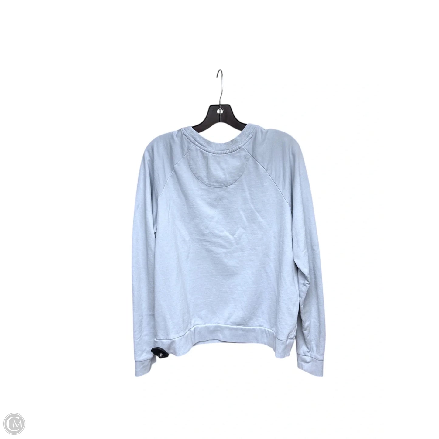 Athletic Sweatshirt Crewneck By Patagonia In Blue, Size: L