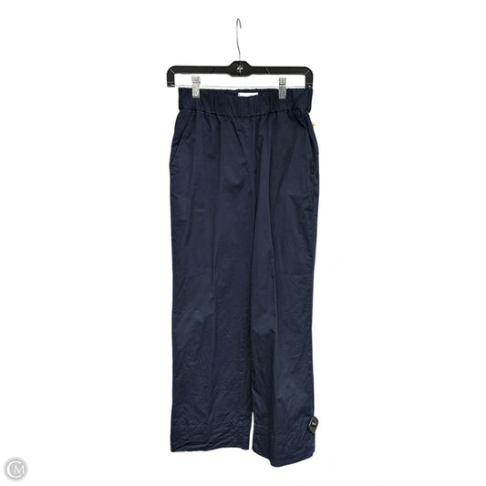Pants Chinos & Khakis By Everlane In Navy, Size: S
