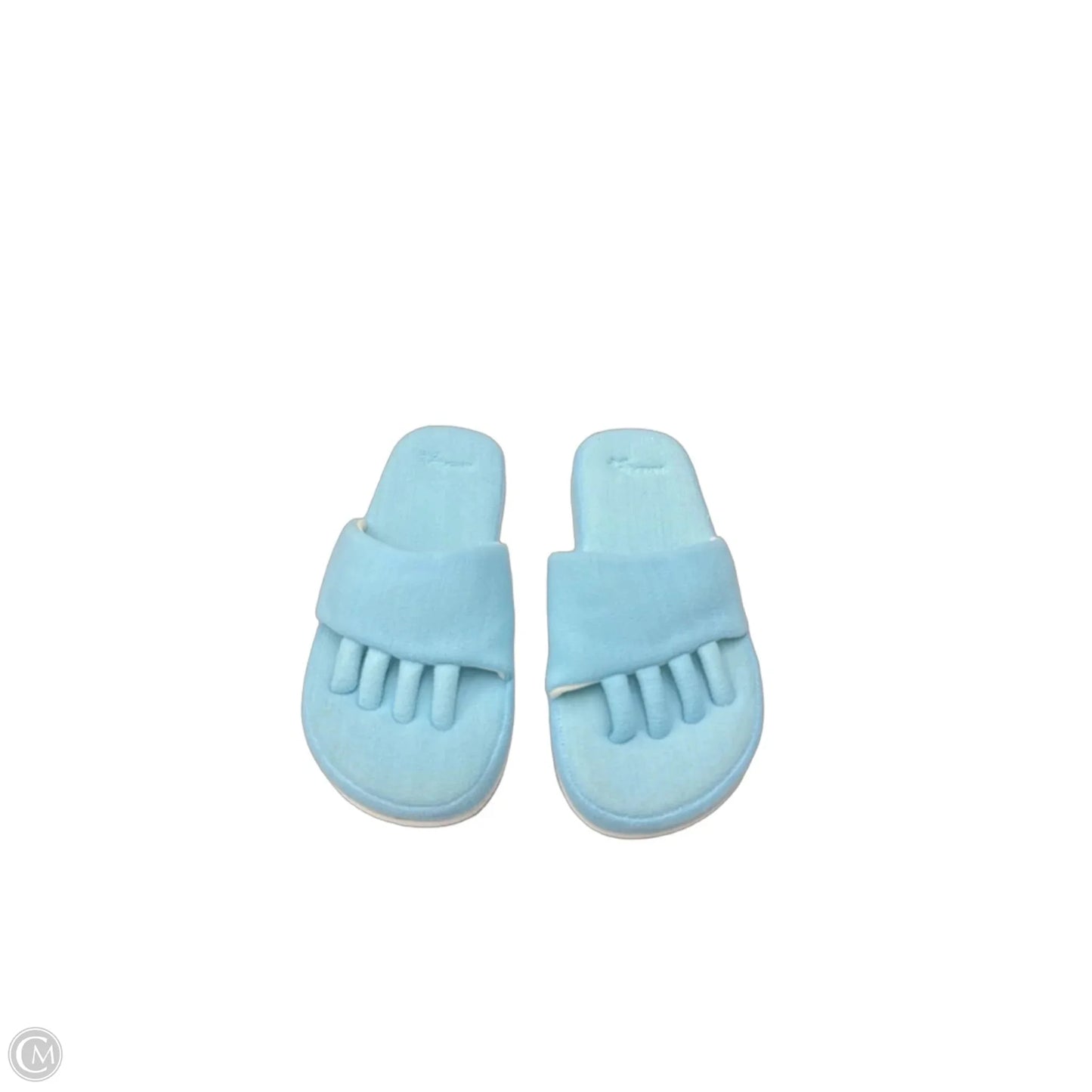 Sandals Flip Flops By Clothes Mentor, Size: M