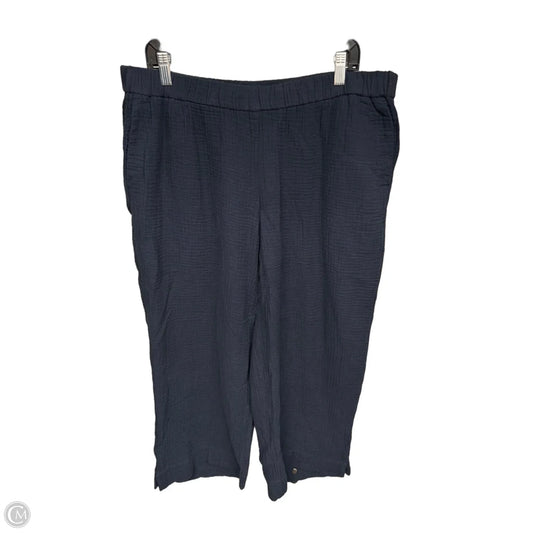 Pants Wide Leg By J. Jill In Blue, Size: Xl