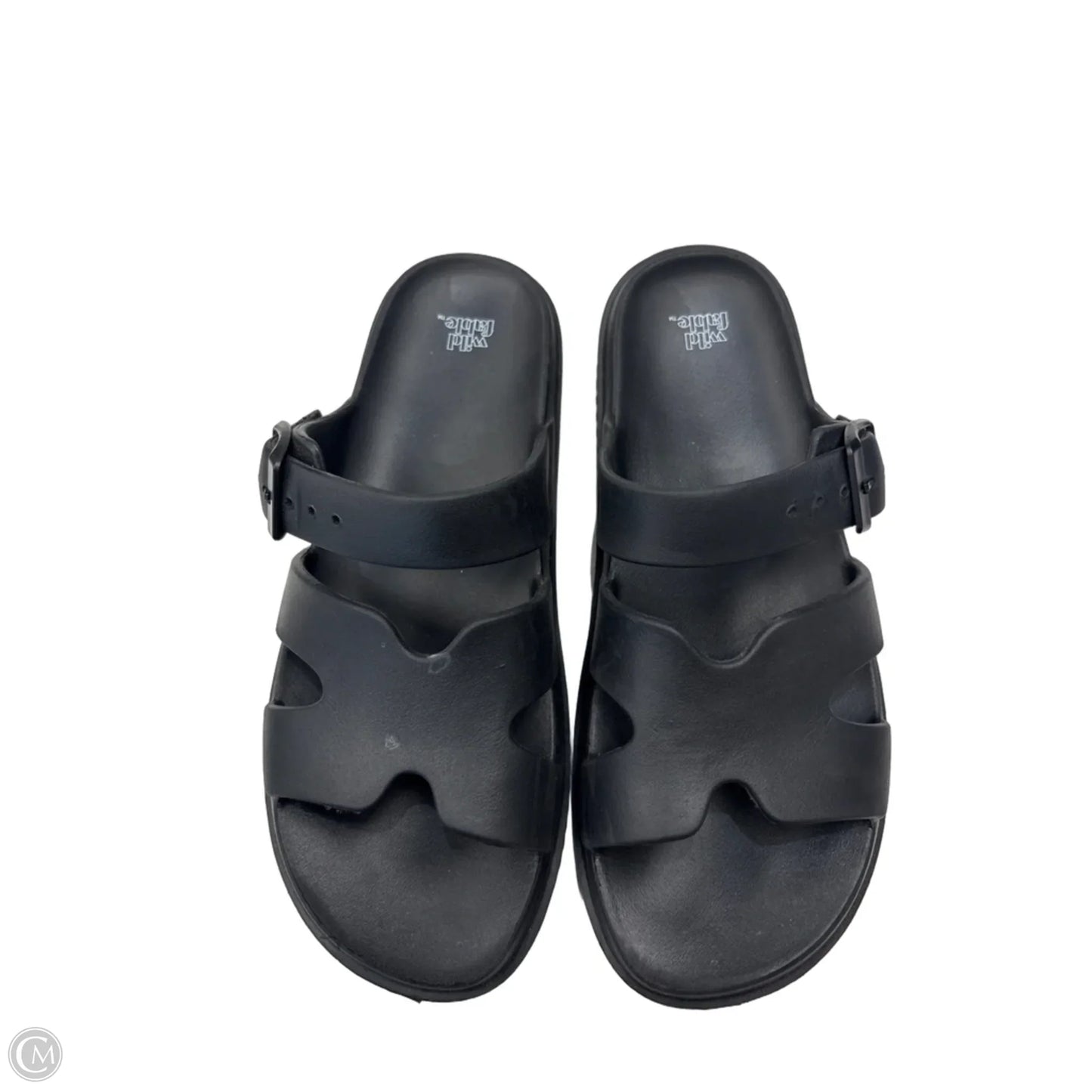 Sandals Flats By Wild Fable In Black, Size: 9