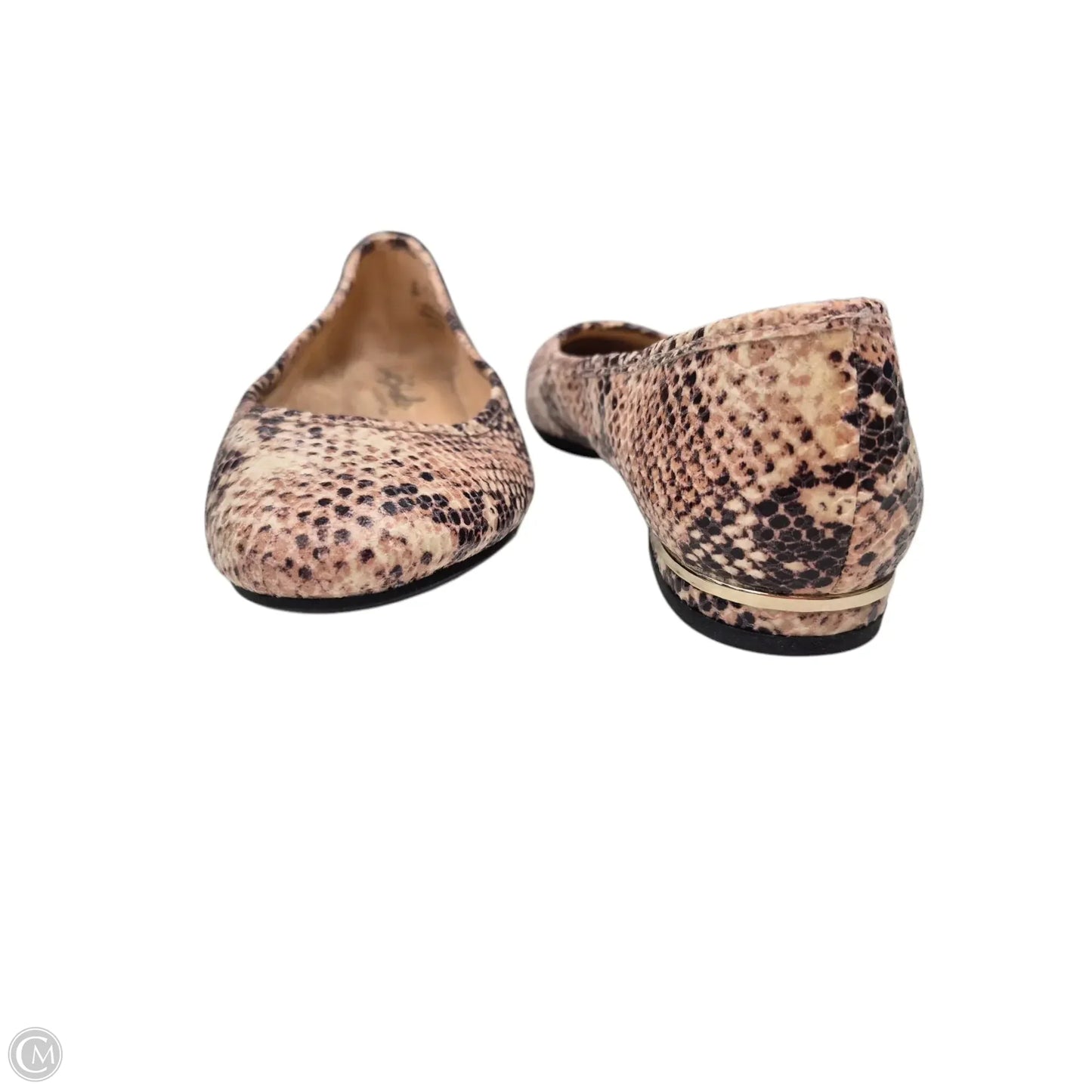 Shoes Flats By Velocity In Snakeskin Print, Size: 6