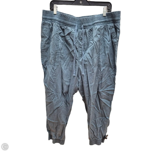 Pants Cargo & Utility By A New Day In Blue, Size: Xl