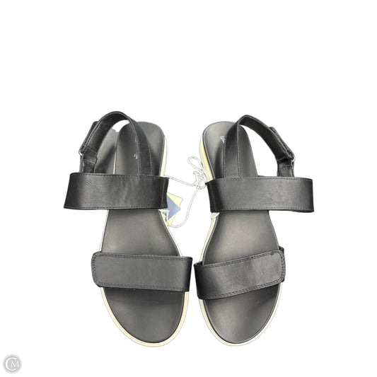 Sandals Flats By Universal Thread In Black, Size: 8.5