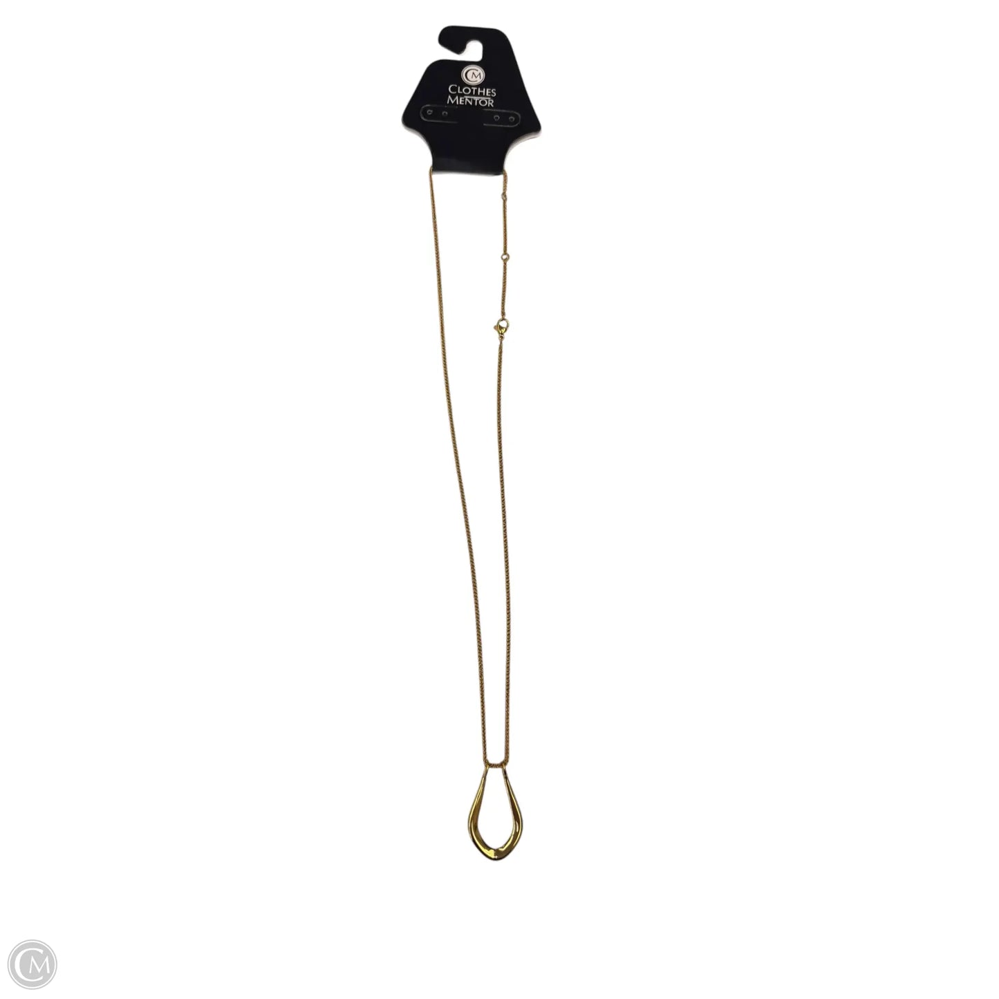 Necklace Chain By Clothes Mentor