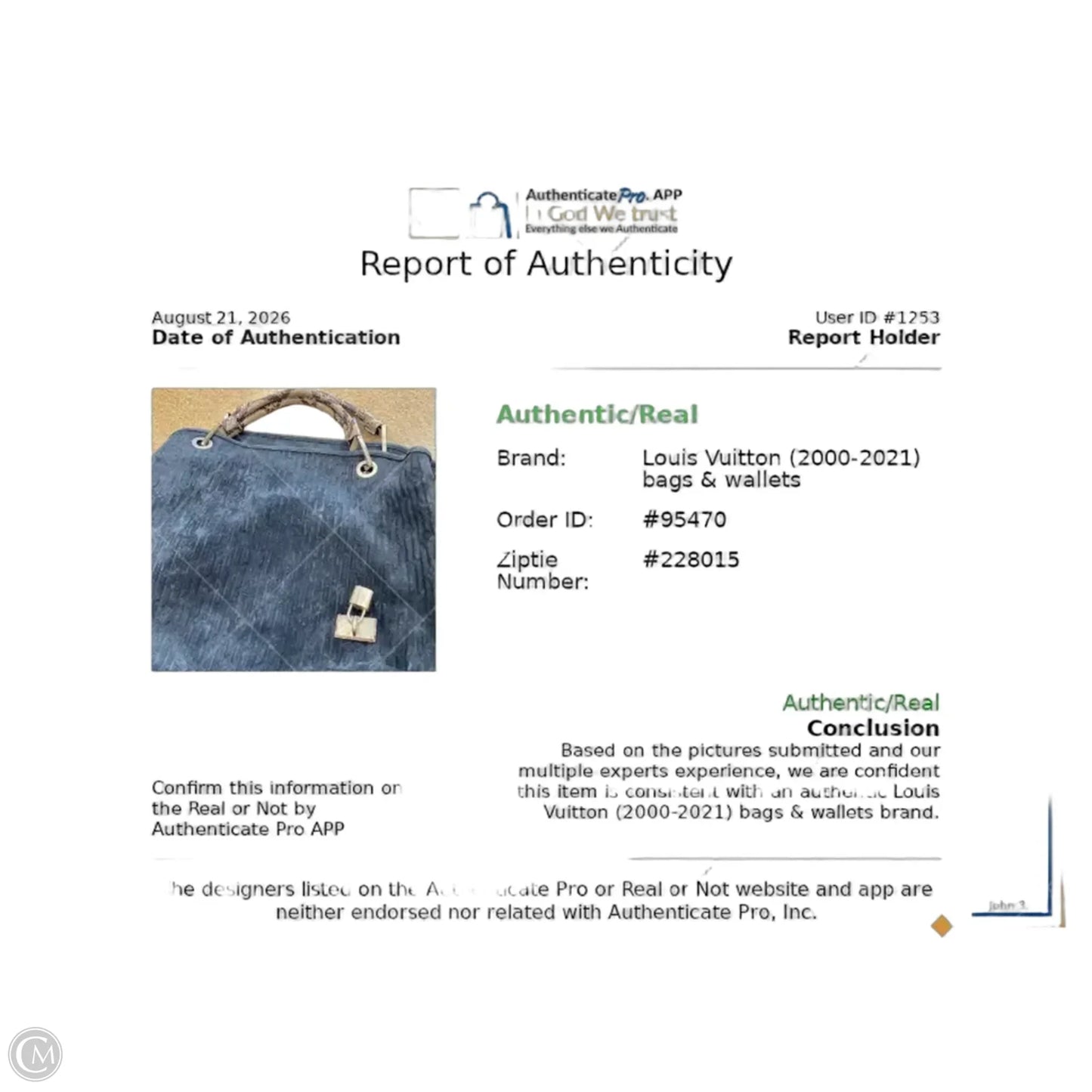 Handbag Luxury Designer By Louis Vuitton, Size: Large