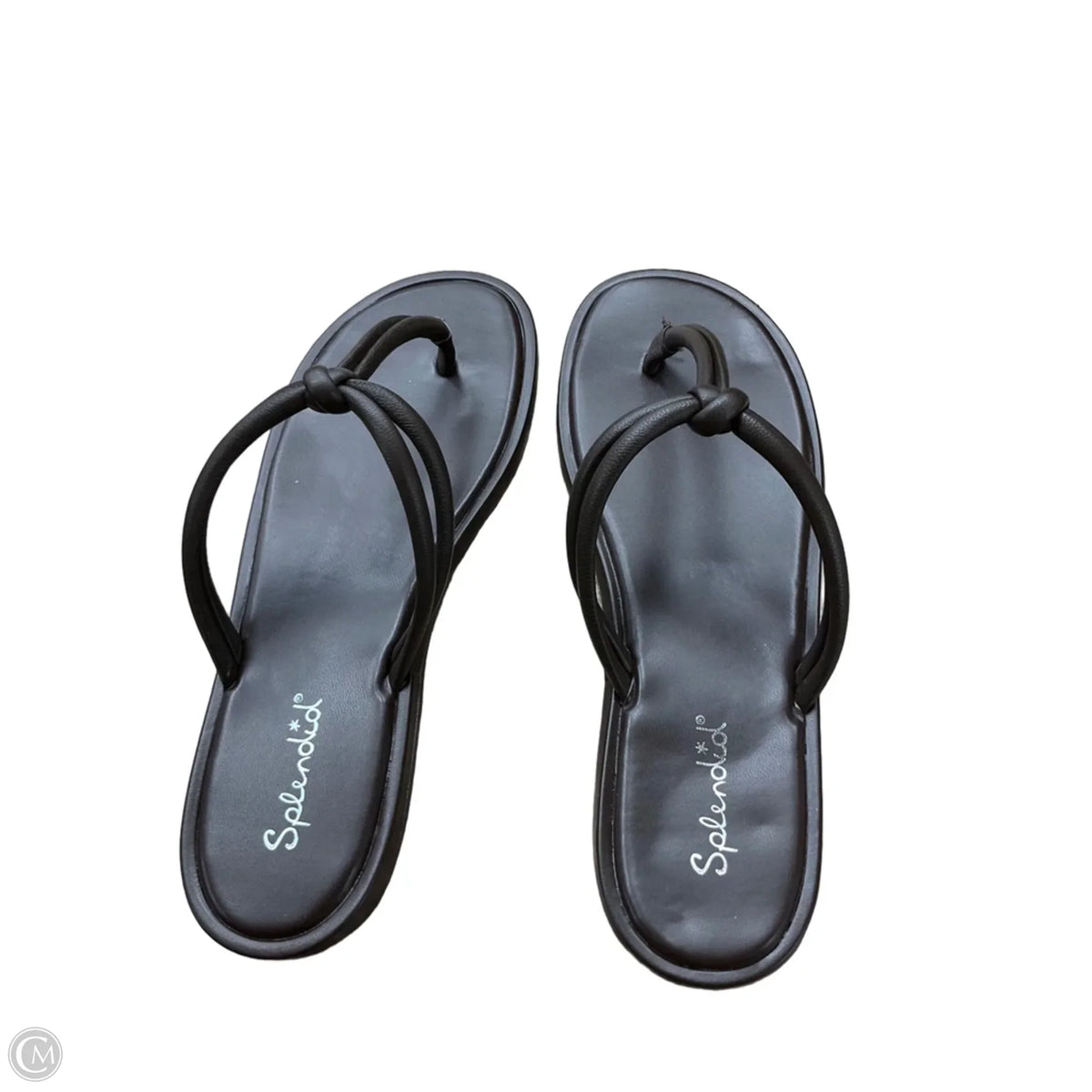 Sandals Flip Flops By Splendid In Brown, Size: 7.5
