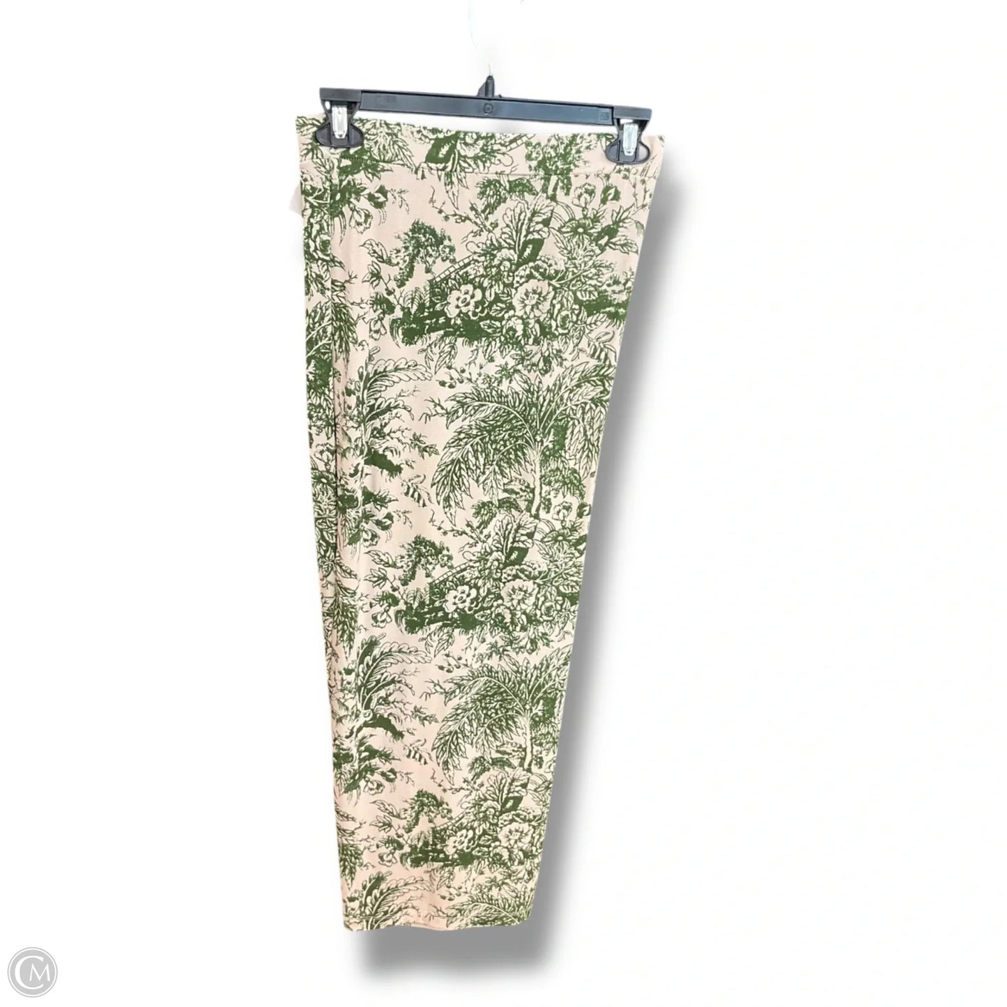 Skirt Maxi By Daily Practice By Anthropologie In Green & Tan, Size: Xxsp