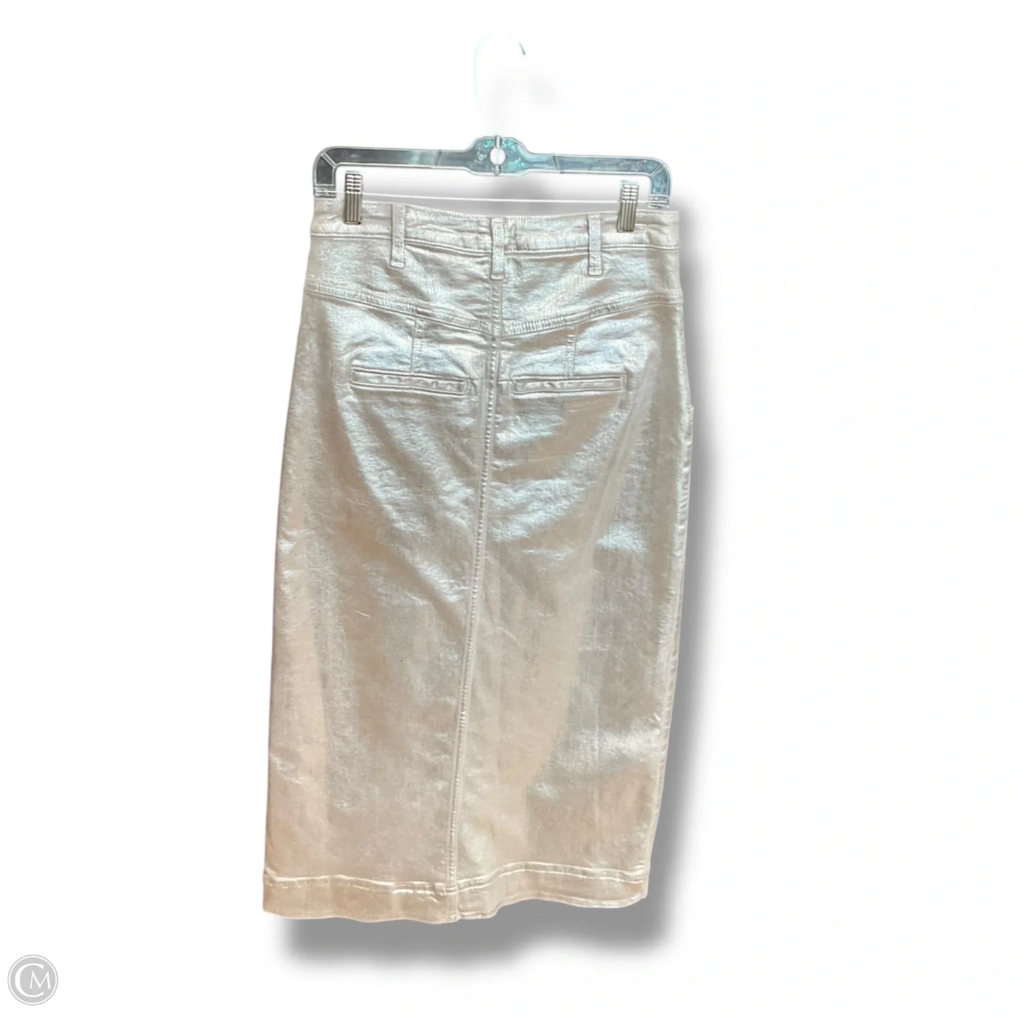 Skirt Maxi By Pilcro In Silver, Size: 6