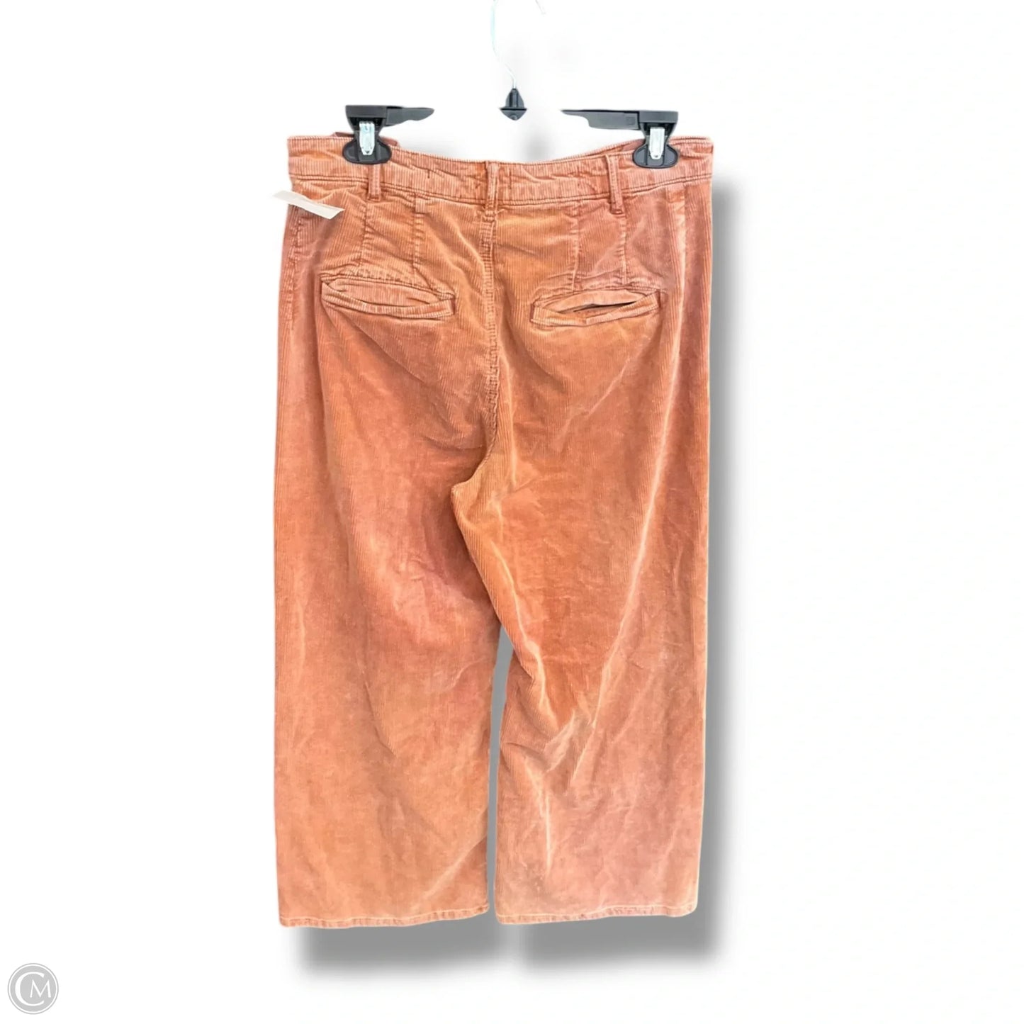 Pants Corduroy By Pilcro In Orange, Size: 10