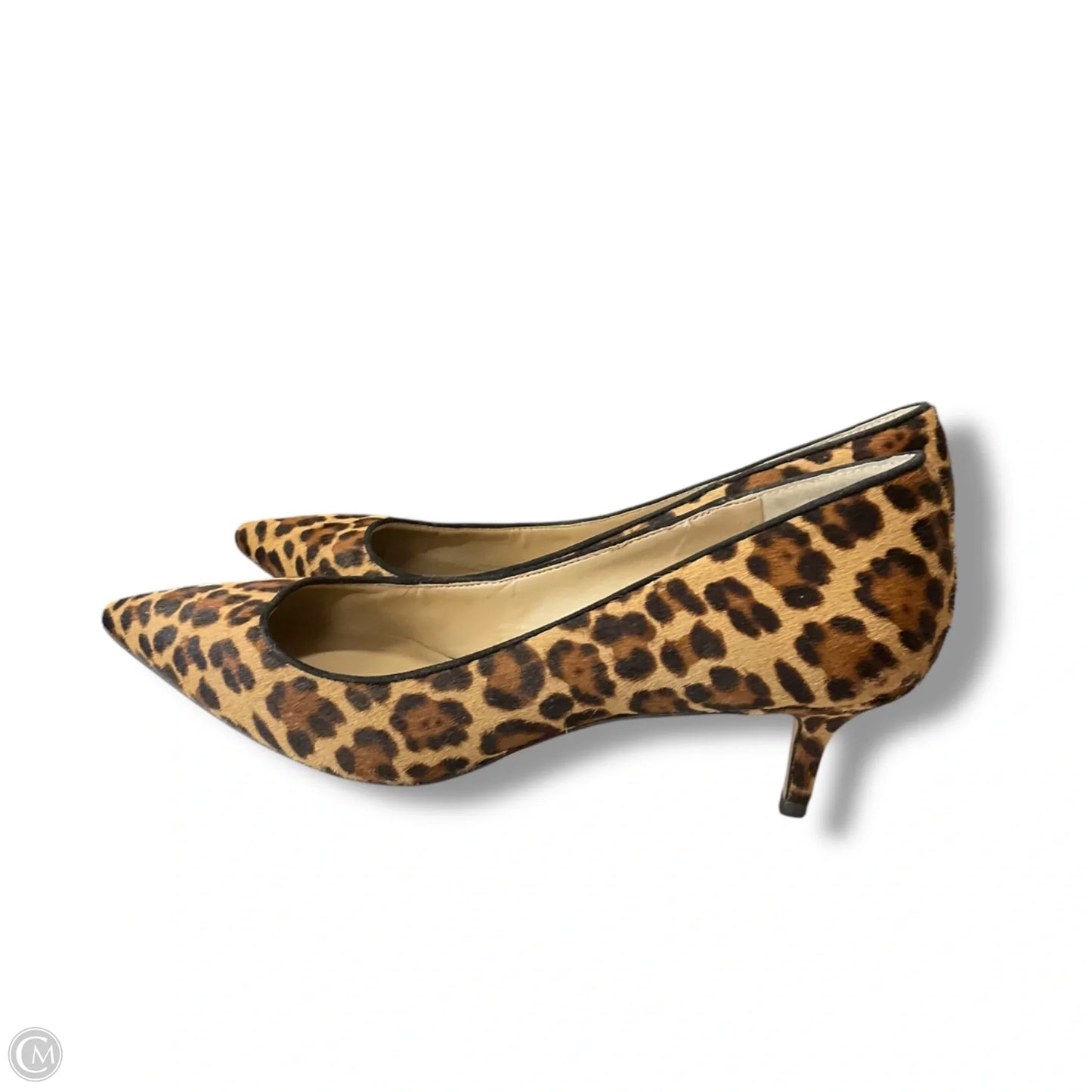 Shoes Heels Kitten By Ann Taylor In Animal Print, Size: 10