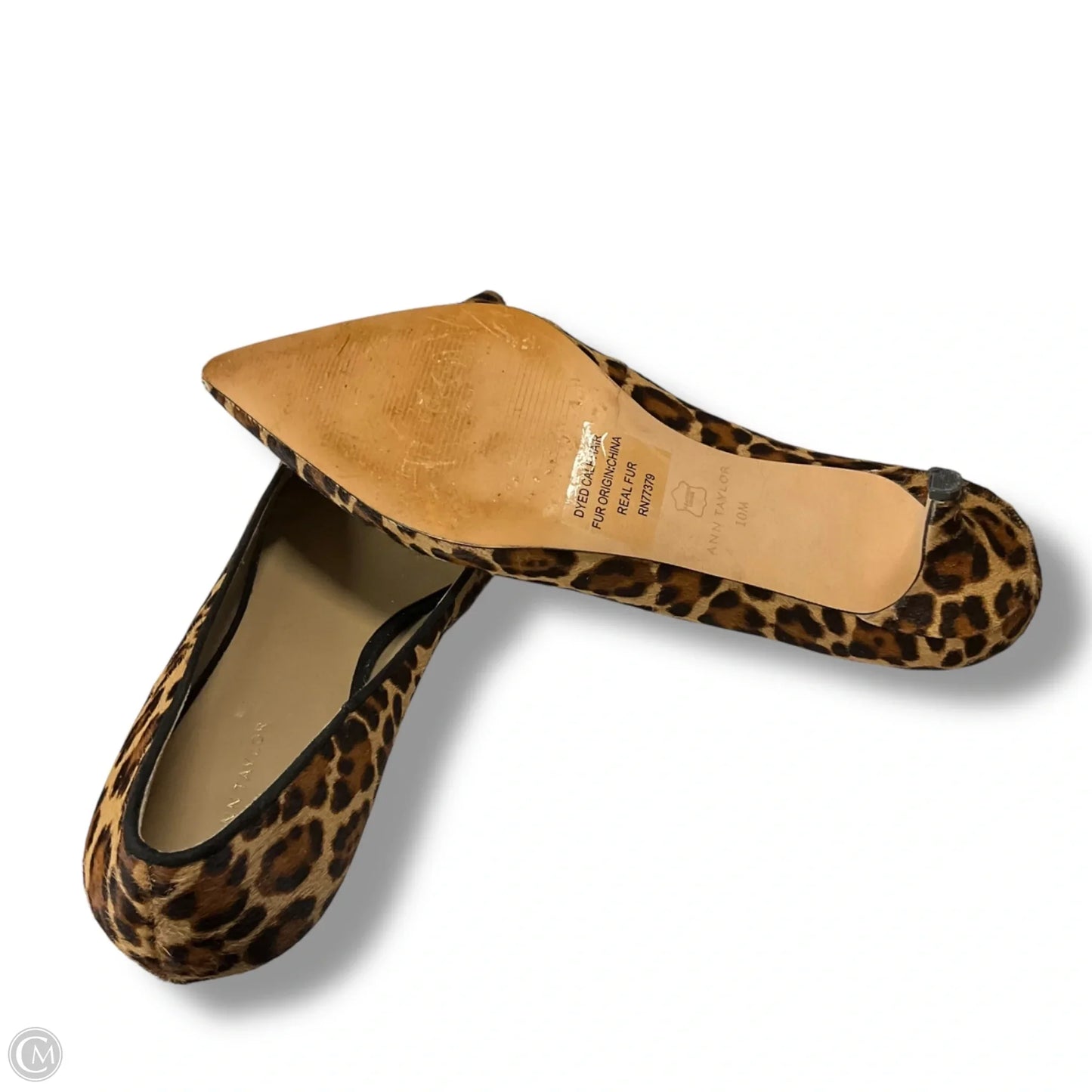 Shoes Heels Kitten By Ann Taylor In Animal Print, Size: 10