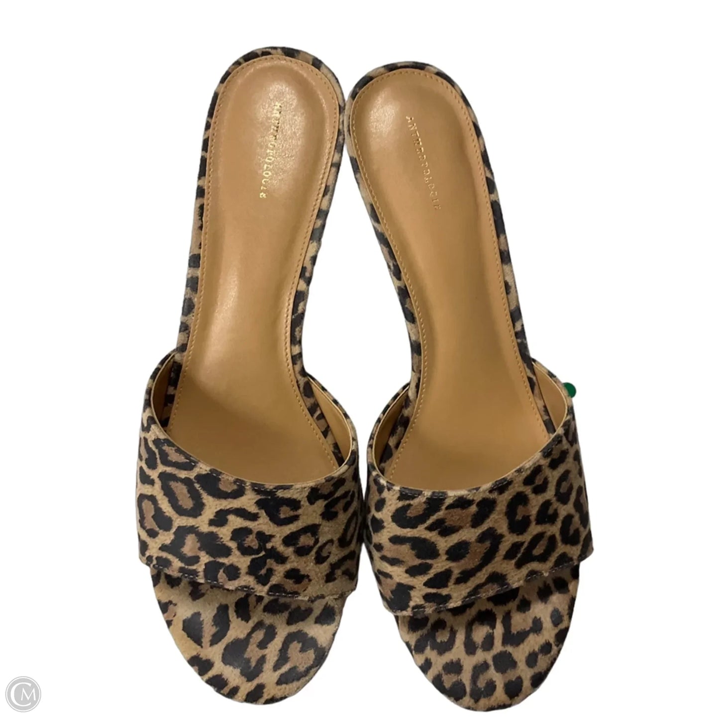Shoes Heels Kitten By Anthropologie In Animal Print, Size: 11