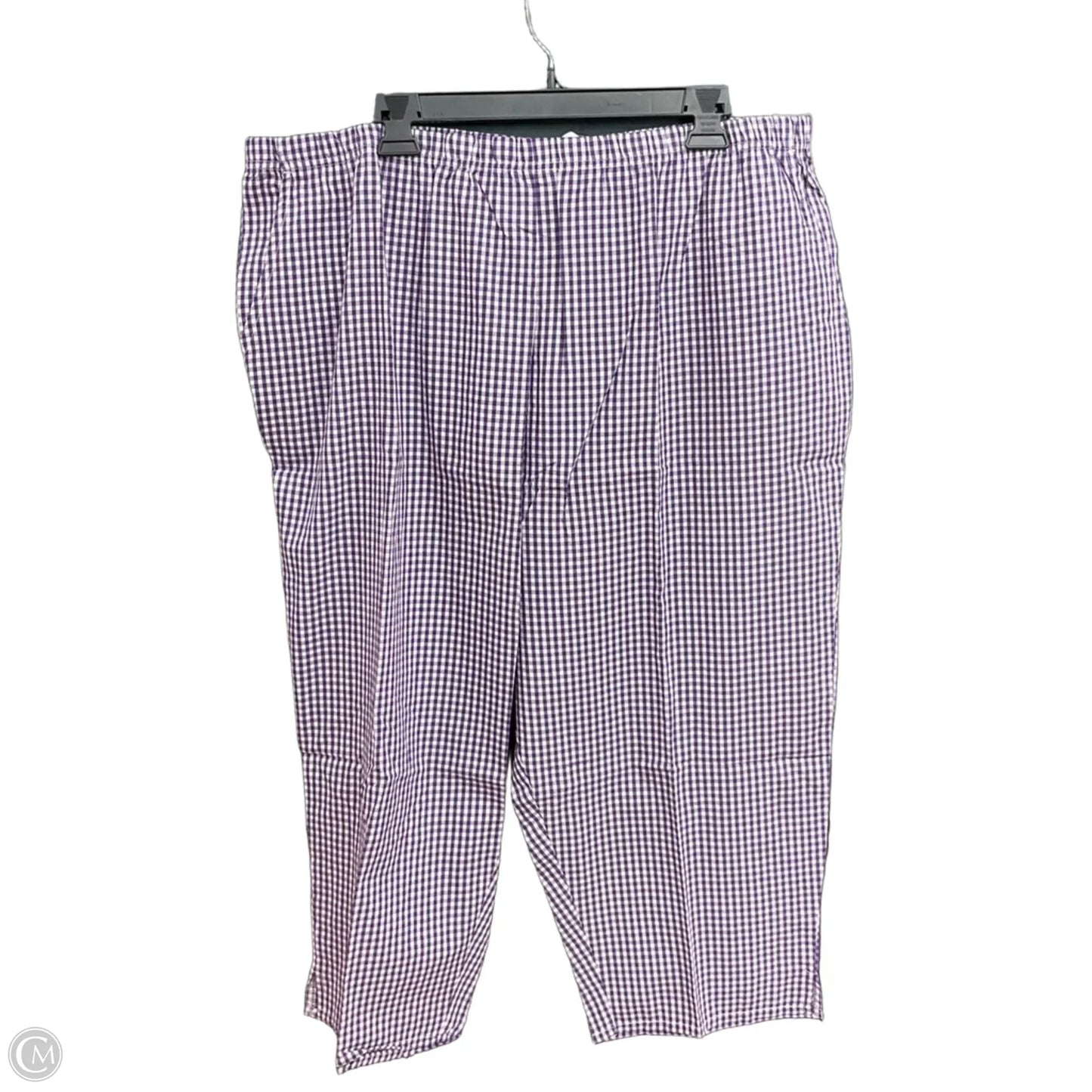 Pants Set 2pc By Blair In Purple, Size: 2x