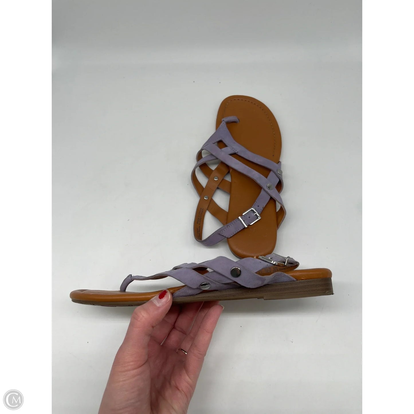 Sandals Flats By Franco Sarto In Purple, Size: 8.5