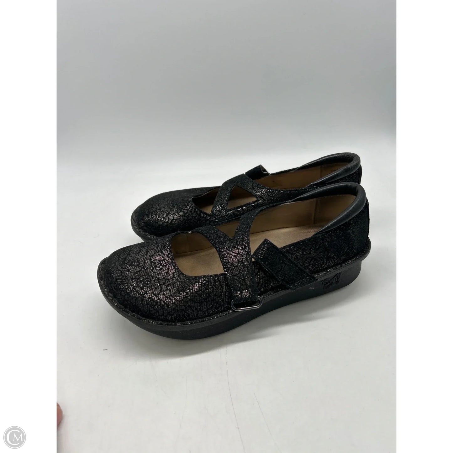 Shoes Flats By Alegria In Black & Gold, Size: 7