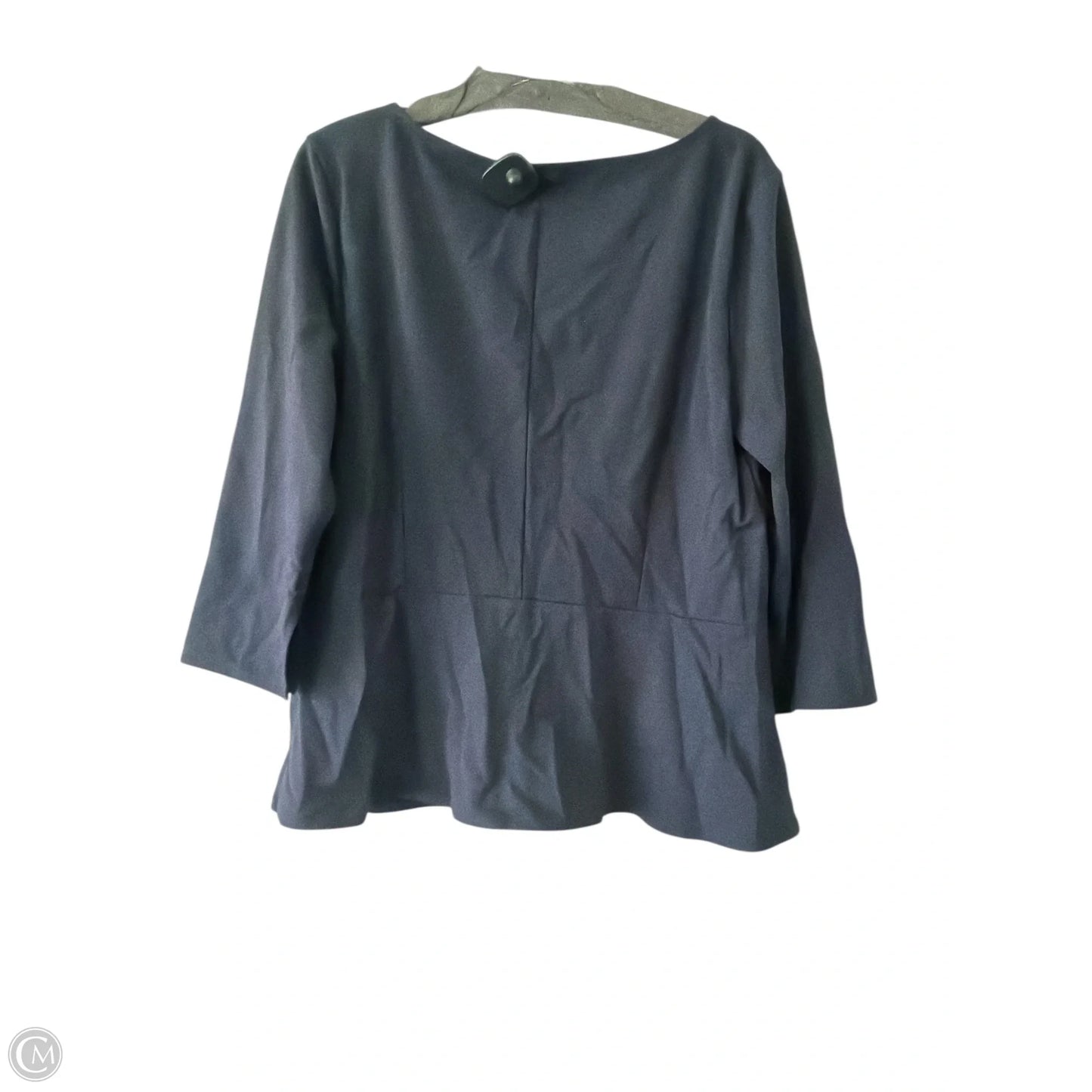Top Long Sleeve By Ann Taylor In Blue, Size: Xl