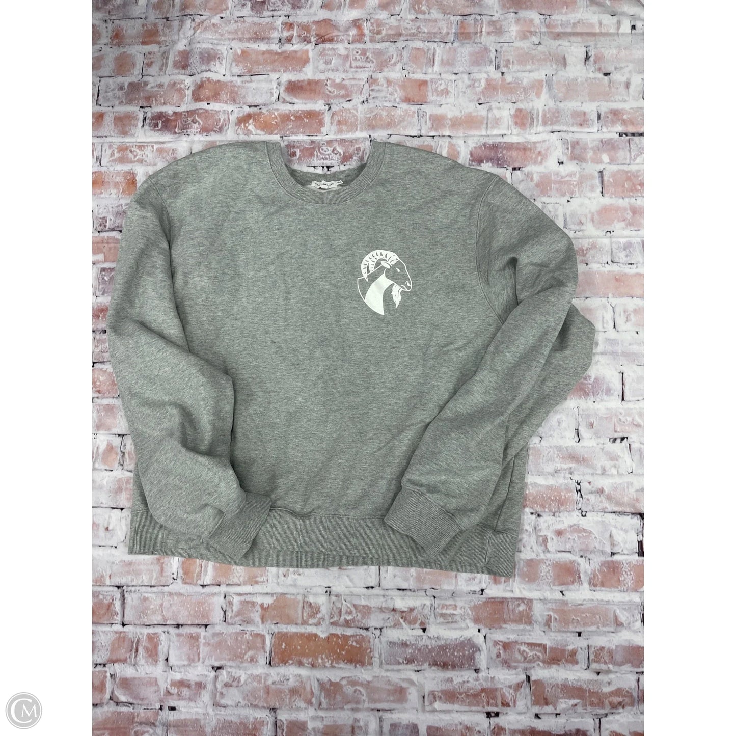 Sweatshirt Crewneck By Good American In Grey, Size: 3x