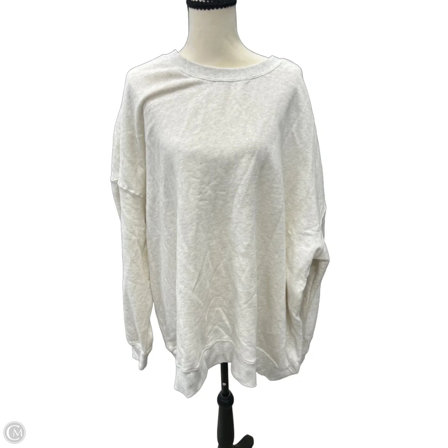 Sweatshirt Crewneck By Wild Fable In Beige, Size: 1x