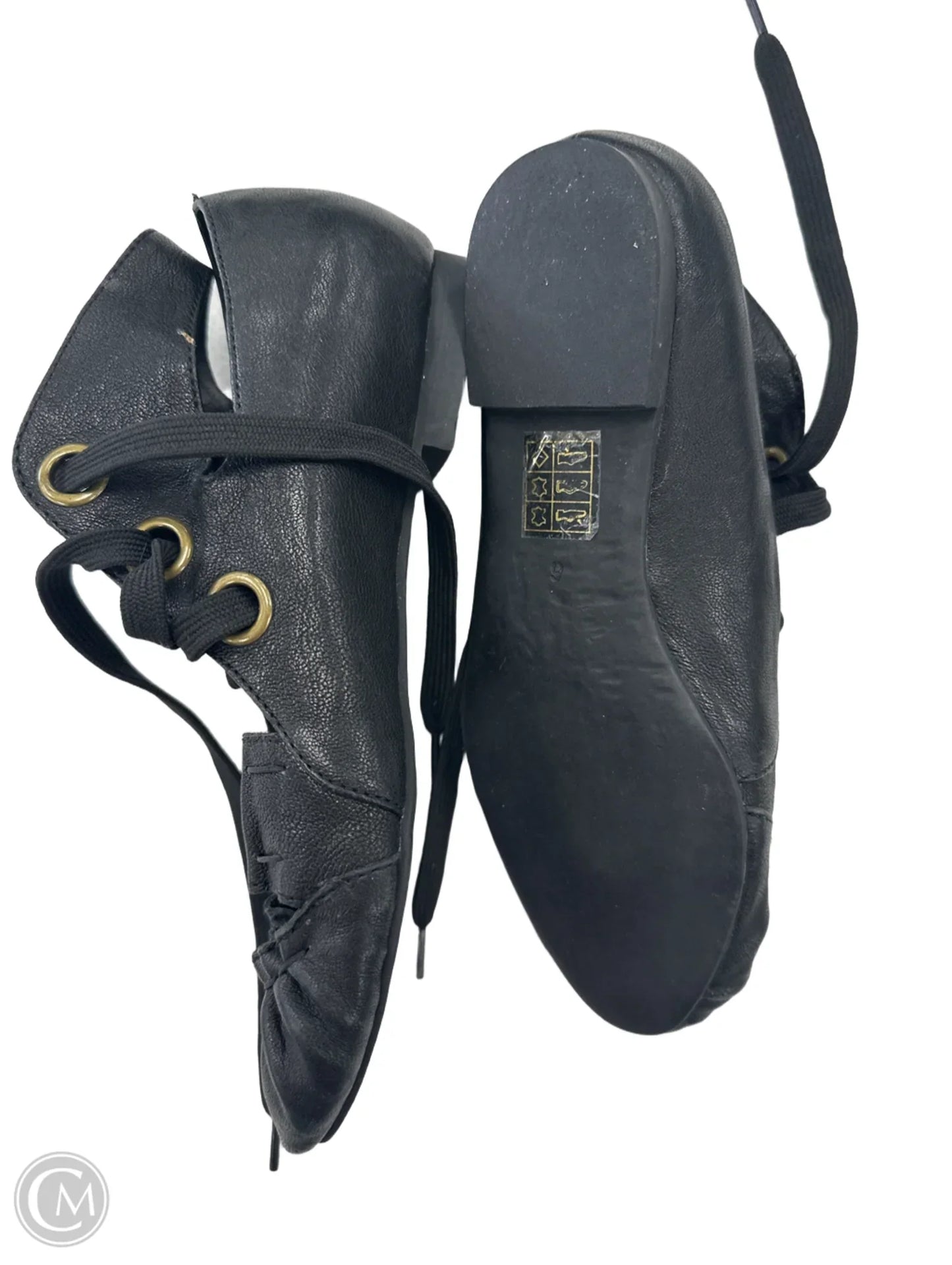 Shoes Flats By Jeffery Campbell In Black, Size: 6