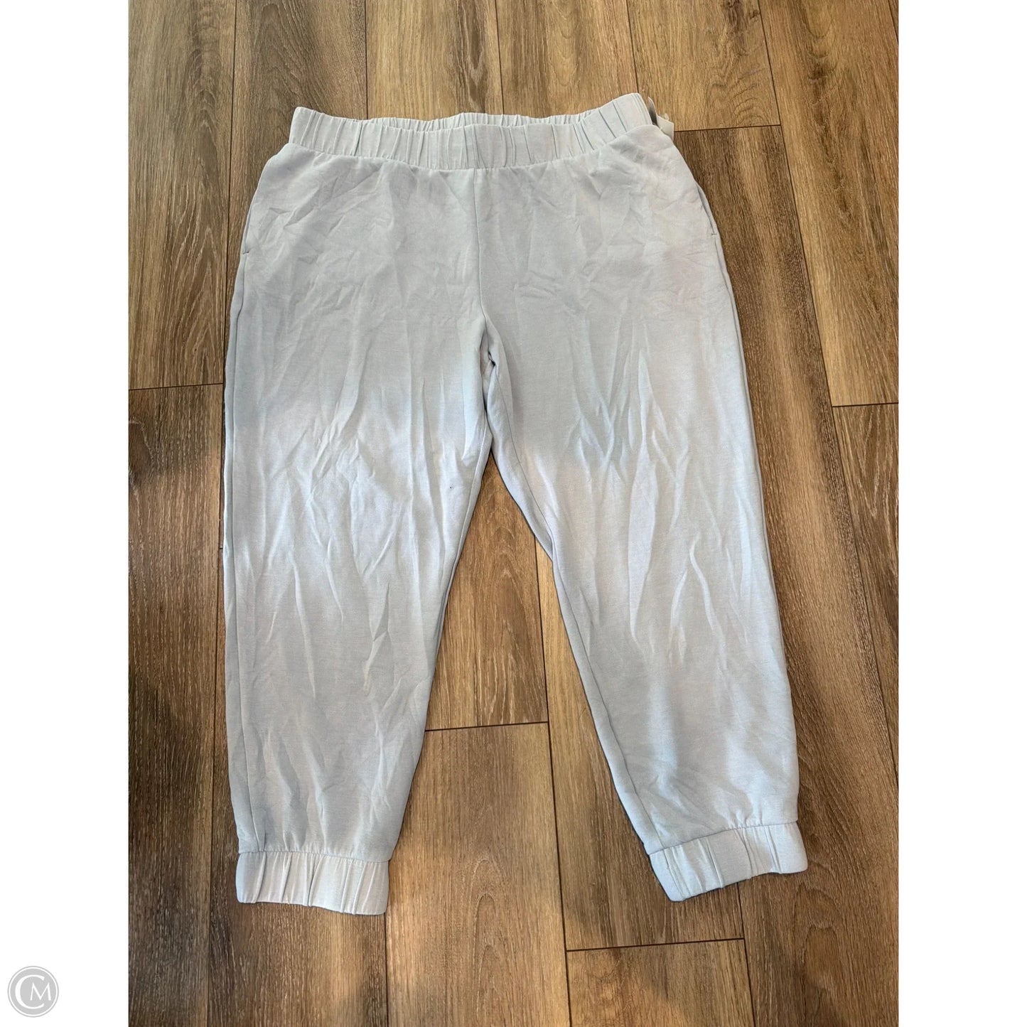 Pants Joggers By Express In Blue, Size: Xl