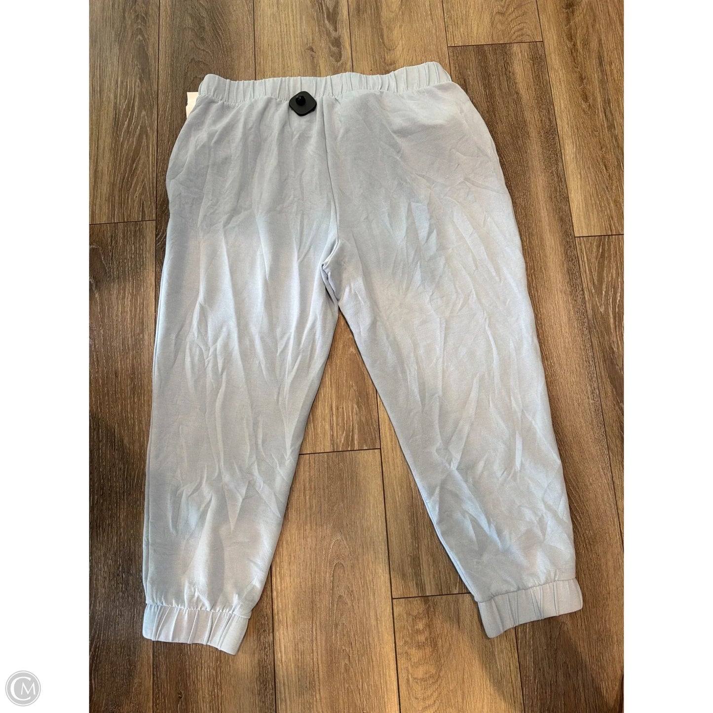 Pants Joggers By Express In Blue, Size: Xl
