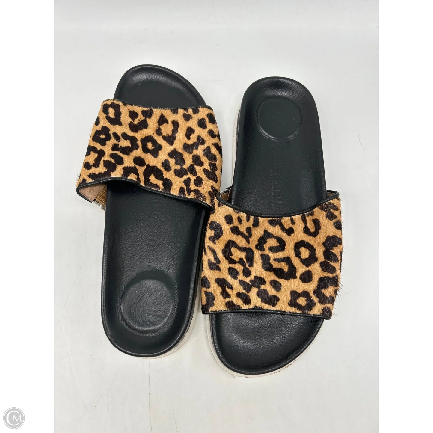Sandals Flats By Gentle Souls In Animal Print, Size: 8