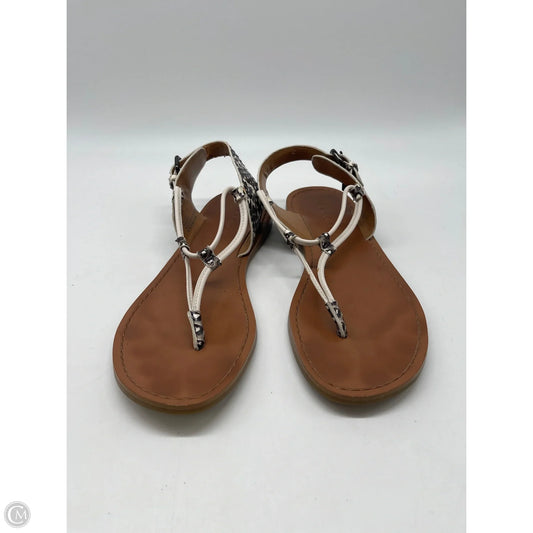 Sandals Designer By Coach In Snakeskin Print, Size: 7