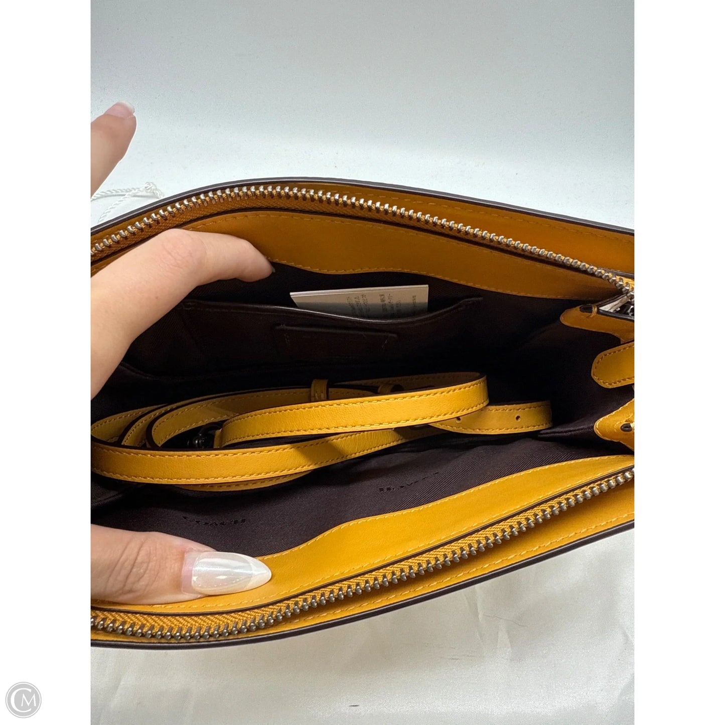 Crossbody Designer By Coach, Size: Small