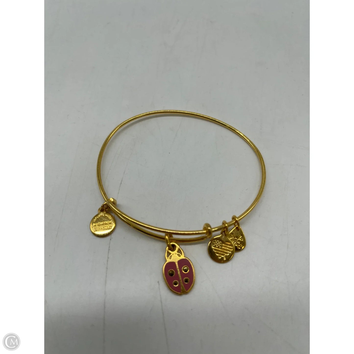 Bracelet Bangle By Alex And Ani, Size: 0