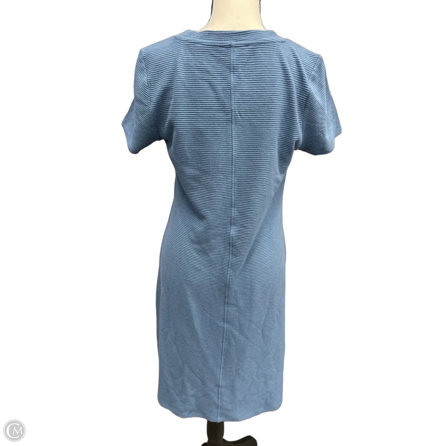 Dress Casual Short By Clothes Mentor In Blue, Size: M