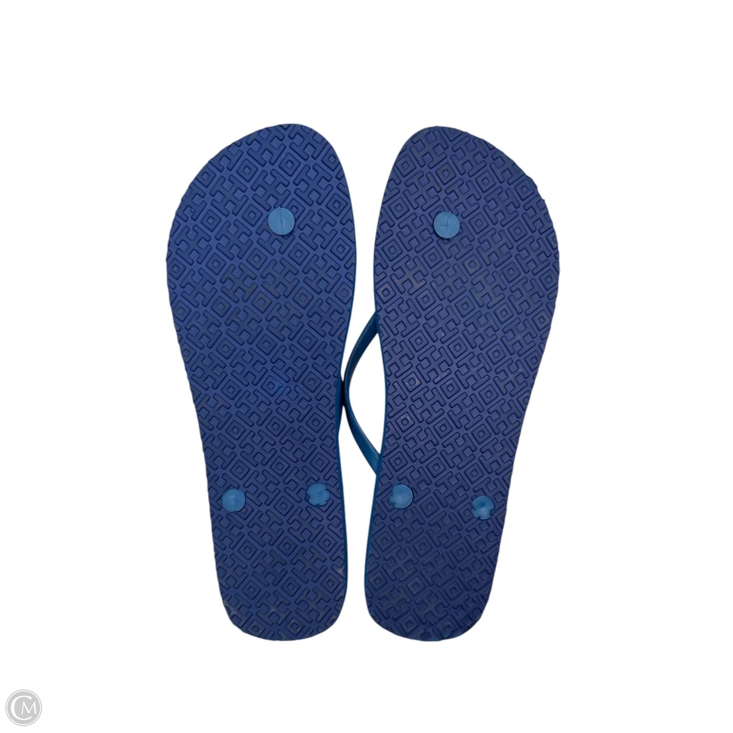 Sandals Designer By Tory Burch In Blue, Size: 10