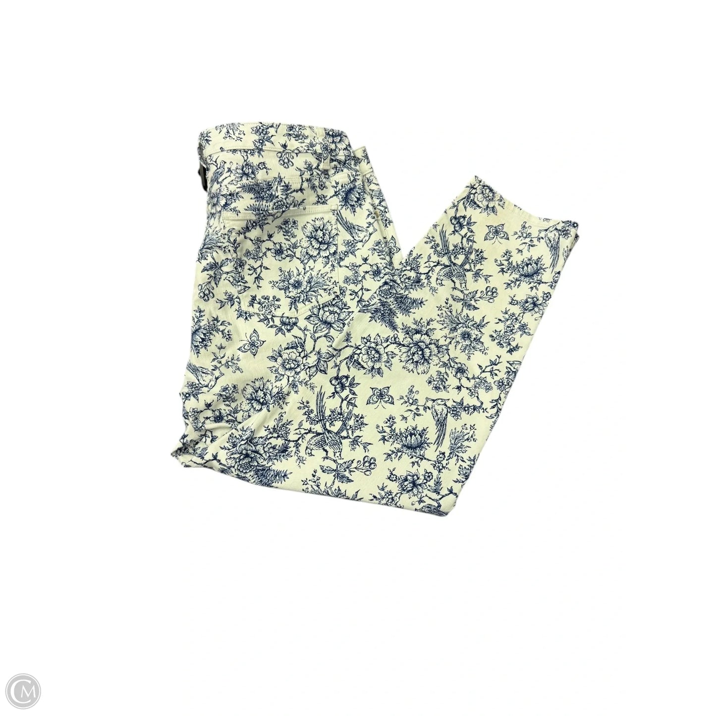 Jeans Skinny By Talbots In White Denim, Size: 20