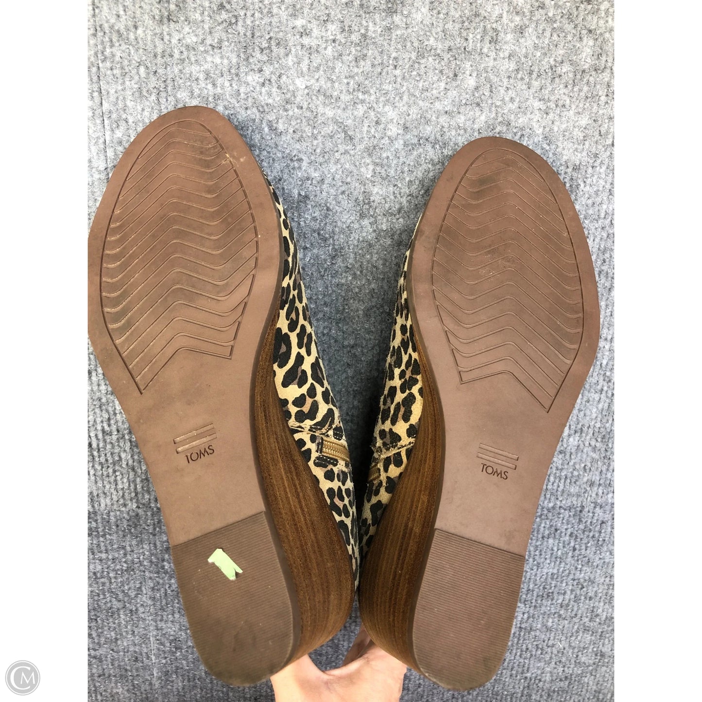 Shoes Heels Wedge By Toms In Animal Print, Size: 8.5