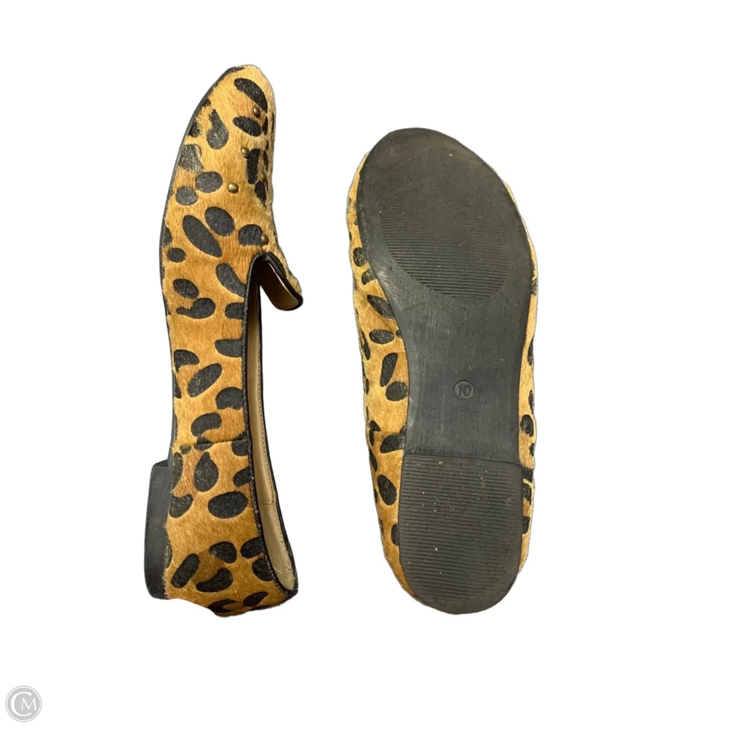 Shoes Flats By Wanted In Leopard Print, Size: 10
