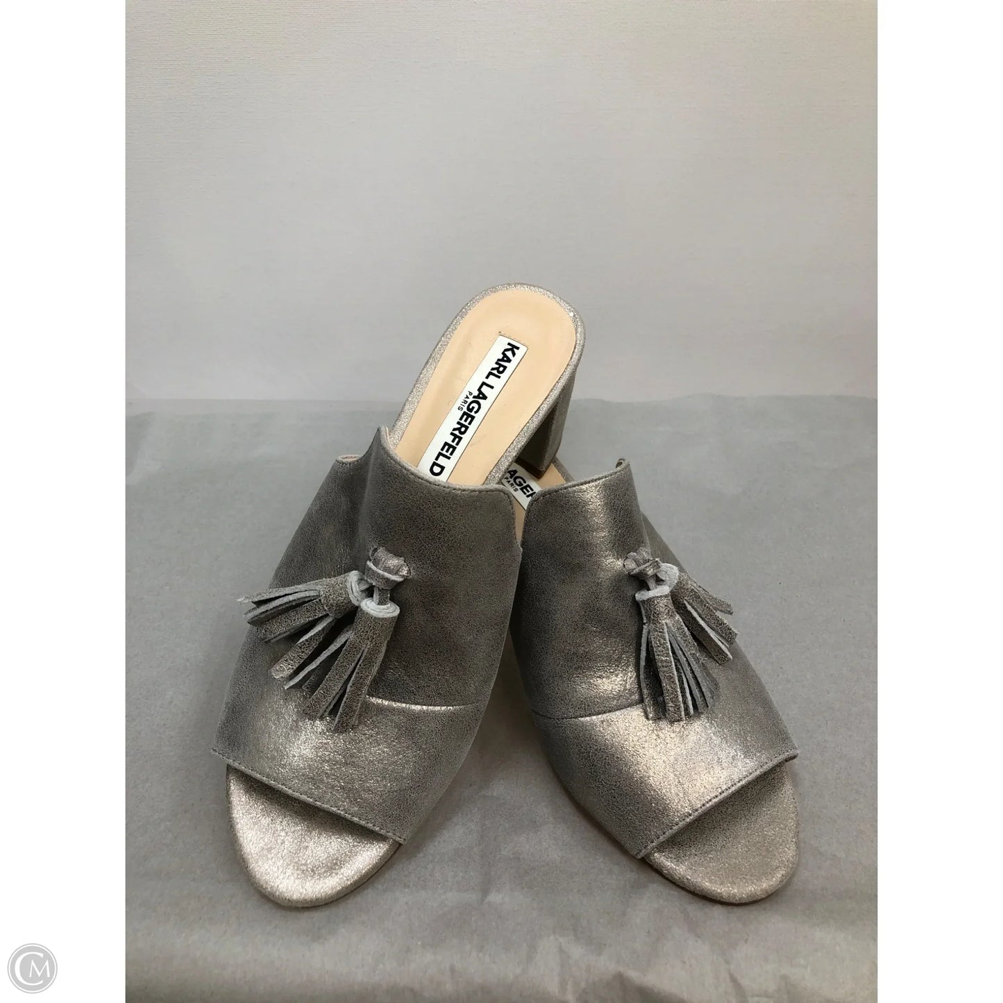 Shoes Designer By Karl Lagerfeld In Silver, Size: 6.5