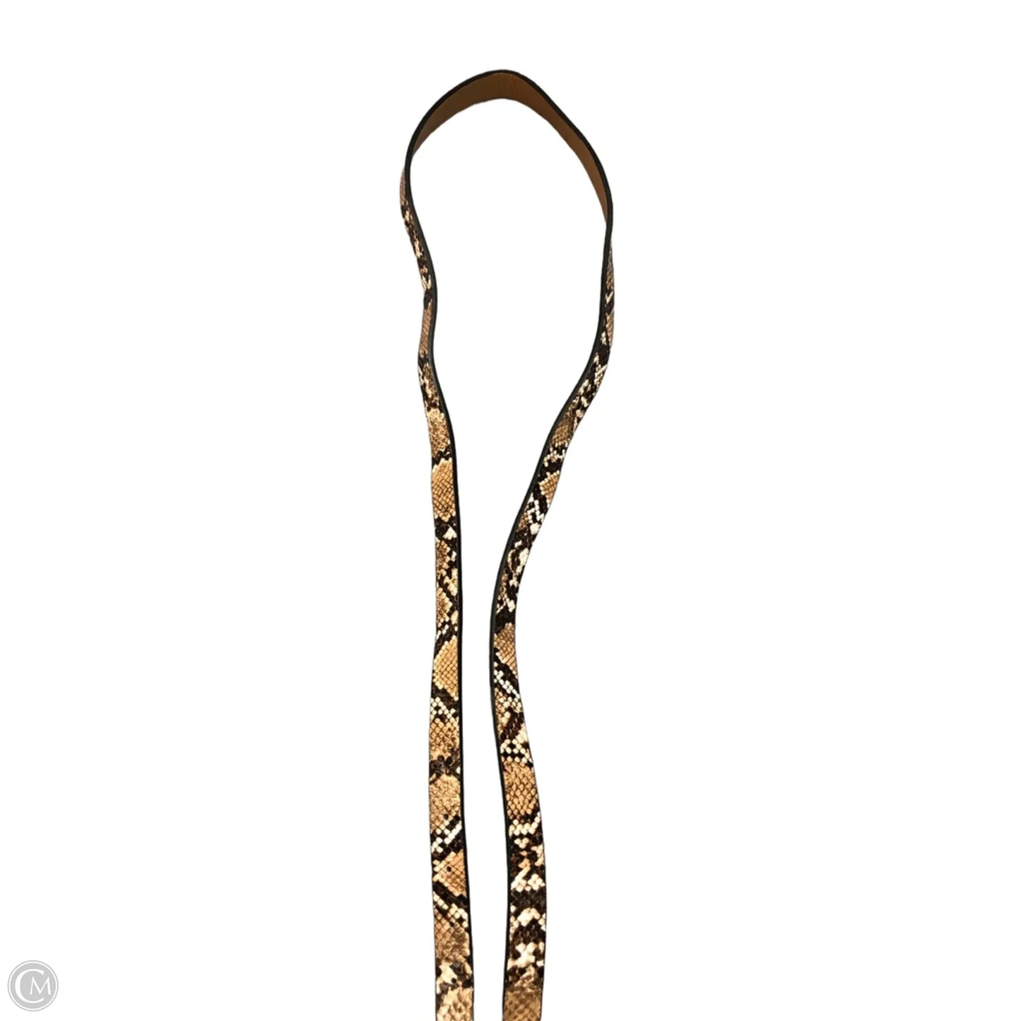 Belt By Clothes Mentor, Size: Xlarge