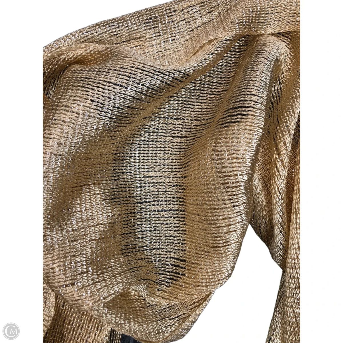 Scarf Long By Clothes Mentor