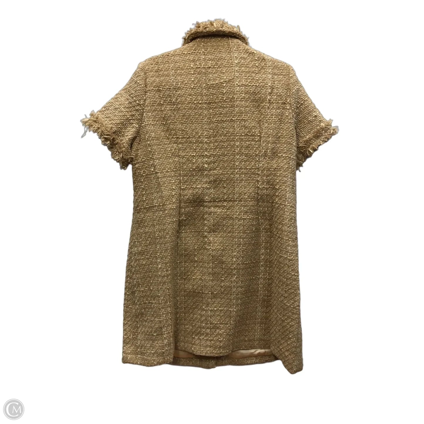 Dress Casual Short By Clothes Mentor In Brown, Size: Xl