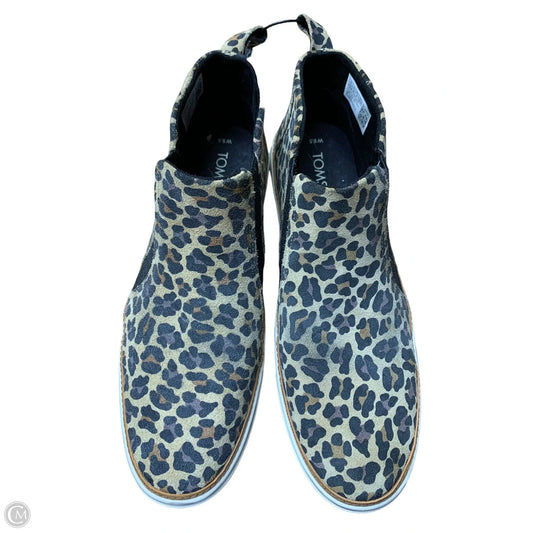 Shoes Flats By Toms In Animal Print, Size: 9.5