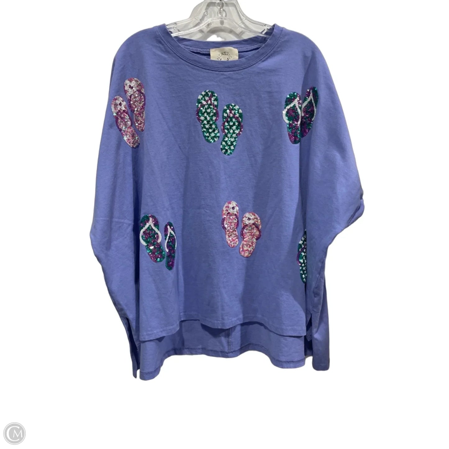 Top Short Sleeve By Fantastic Fawn In Blue, Size: L