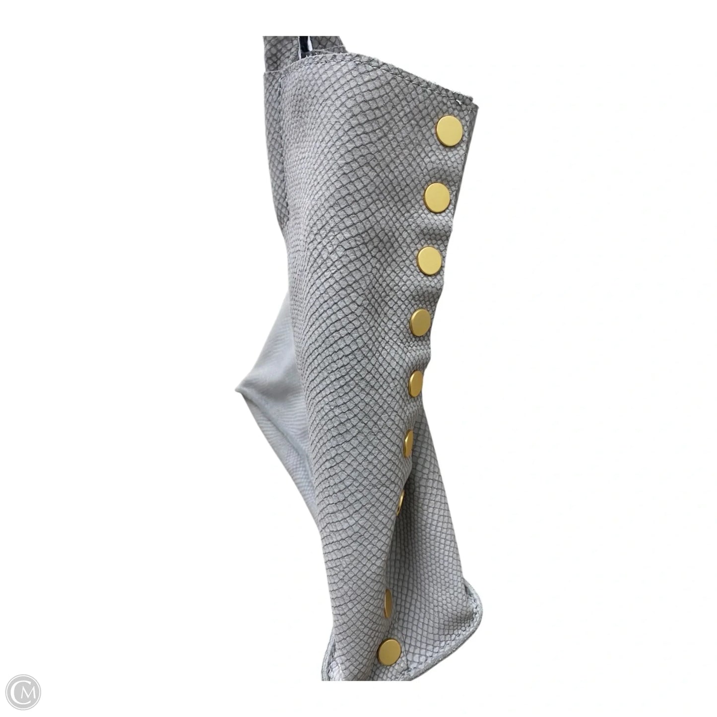 Handbag Designer By Hammitt, Size: Large